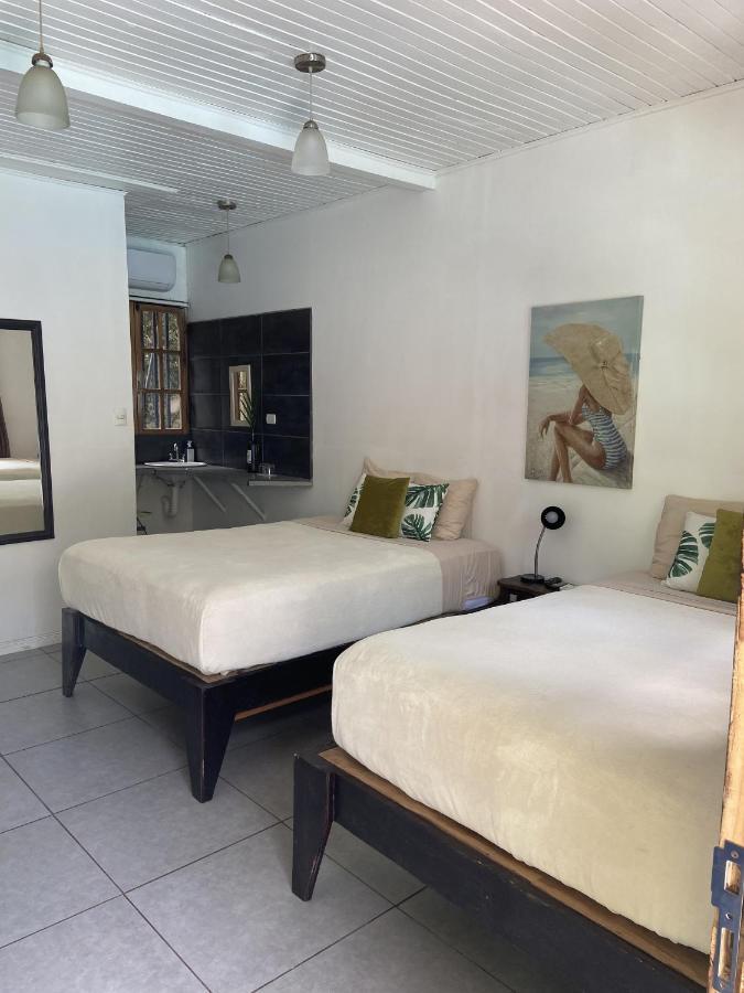 Lizard King Hotel & Suites Puerto Viejo de Talamanca Exterior photo
